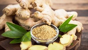Challenge Diseases in Winter with Ginger!