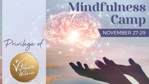 Mindfulness (Farkındalık) Kampı 2020