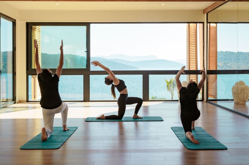 what-is-wellness